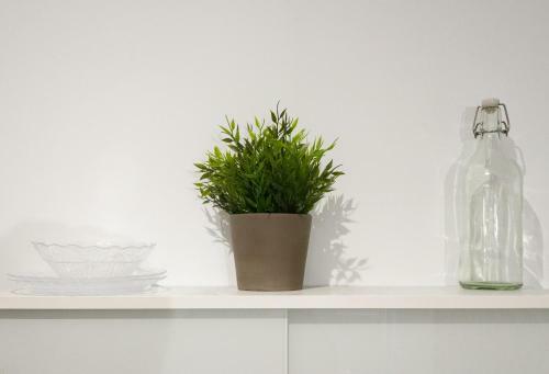Apartamento Alameda De Colon