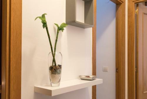 Apartamento Ventura Rodriguez 39
