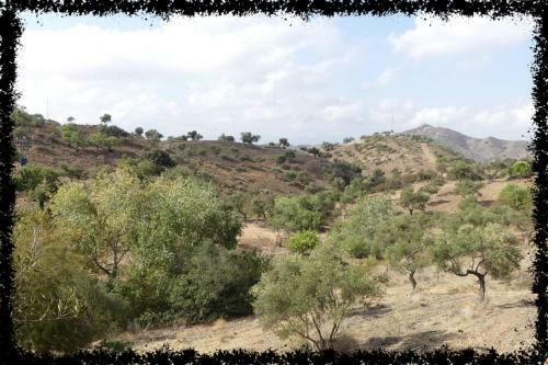 Cortijo Casas Viejas