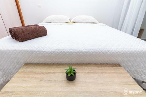 Apartamento F2 H5 Les Orchidees Papeete Wpool