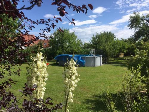 Apartamento Ferienwohnung Schimun
