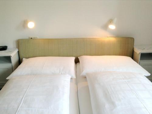 Hostal Parkpension Billroth