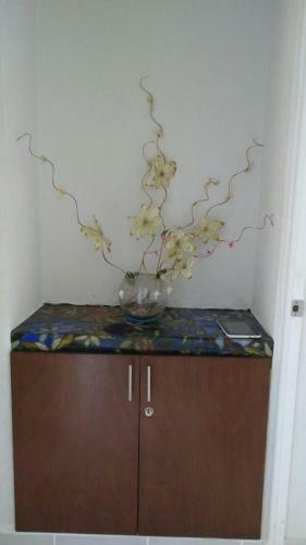 Apartamento Marina Diamante Acapulco