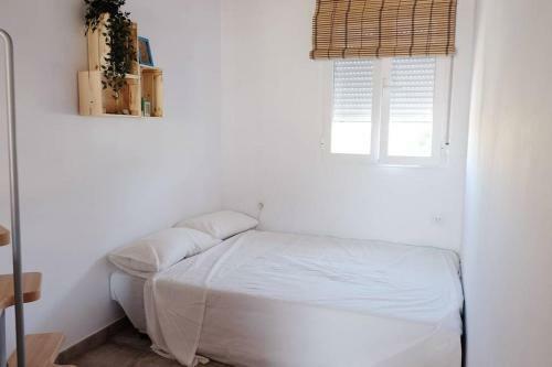 Apartamento La Casa Del Druida