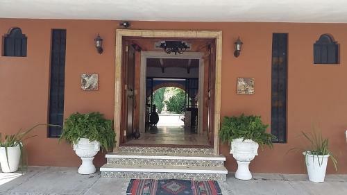 Mexican 1 Level Hacienda