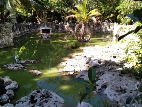 Agroturismo Villas Tortugas Akumal