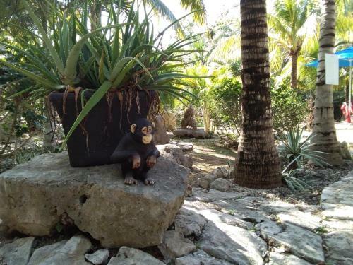 Agroturismo Villas Tortugas Akumal