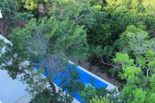 Fantastic 2br Apartment With Private Terrace Rooftop Terrace And Pool Facilities
