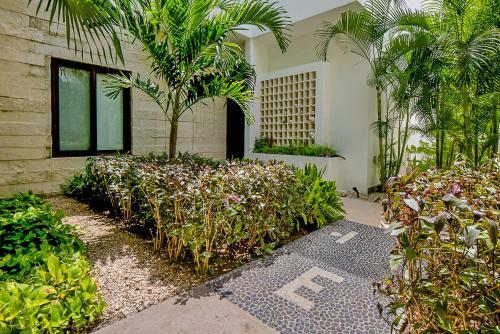Villa Tao Ocean Luxury Home Akumal