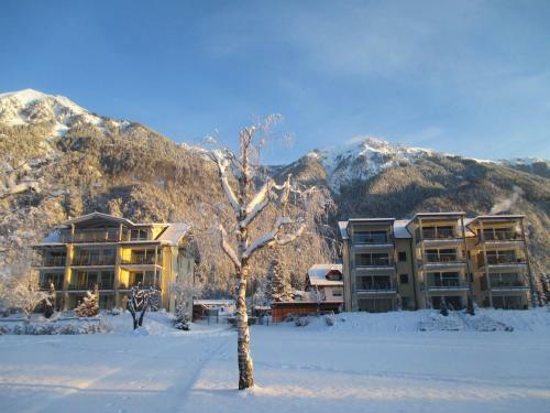 Apartamentos Appartements De Luxe Schluga