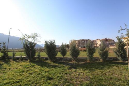 Camping Green House