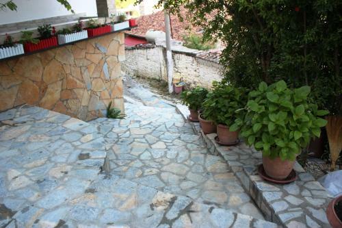 Apartamento Guesthouse Kurti