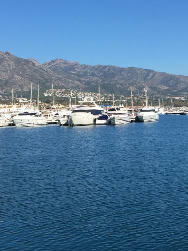 Villa Banus
