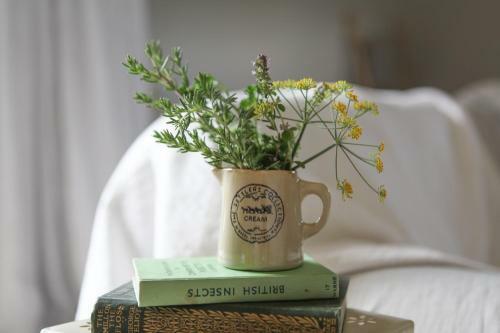 Cedar Park Bed & Breakfast