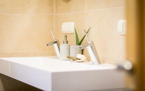 Wiesengut , Alleinstehende, Deteched, Austrian Style, Villa Mit Pool