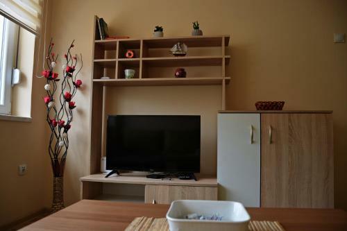 Apartman Trg Vi?egrad