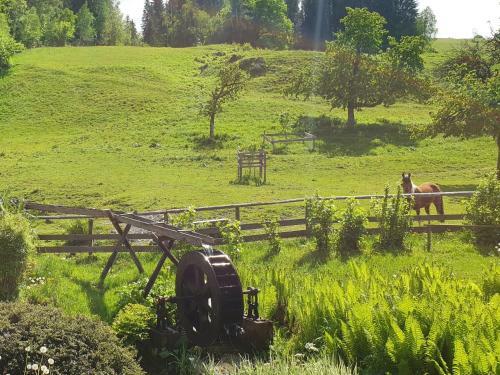 Bed & Breakfast M�hlnerhof Familie Gruber