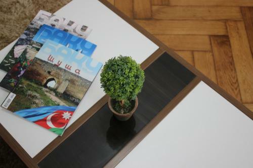 Central Baku New Apartment