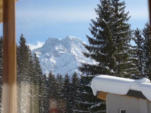 Apartamento Haus Brantner