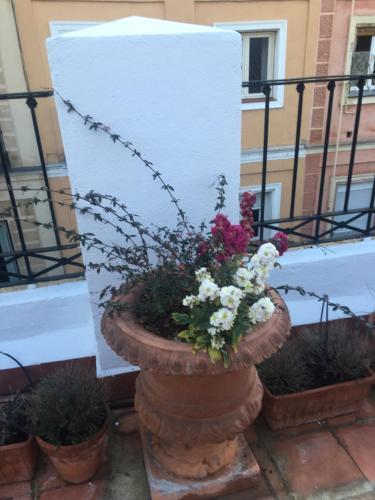 Apartamento Romantic Central Terrace