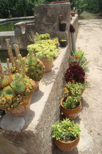 Villa Masia Rural L'hort de Maso