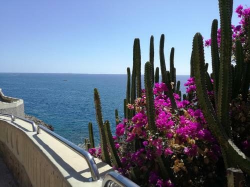 Apartamento Luxury 2 Bedroom Apt 50 M From Beach