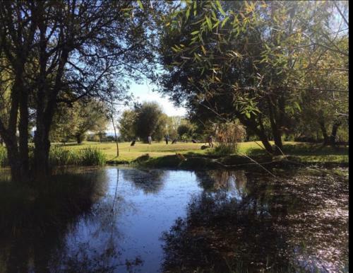 Acogedora Casita Junto Al R�o Cabe!