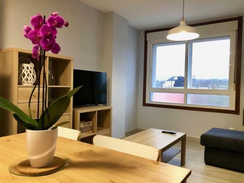Apartamentos Lemos Nube
