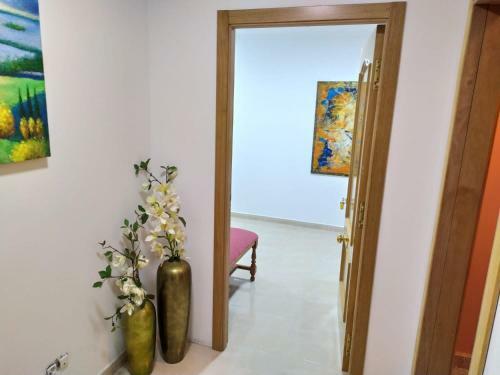 Apartamento Anduri�a 2