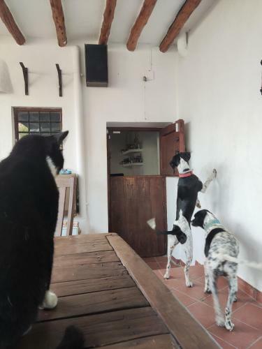 Agroturismo Casa Rural La Fuensanta
