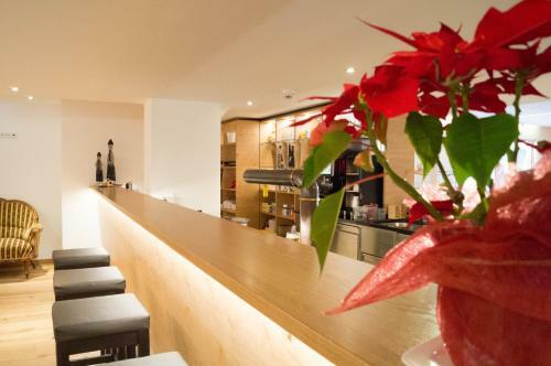 Hostal Hotel Gasthof Adler