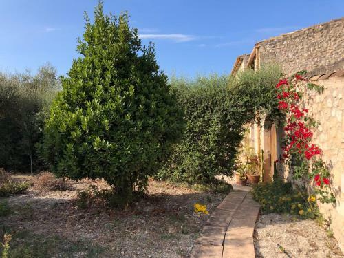 Agroturismo Finca Es Rafal