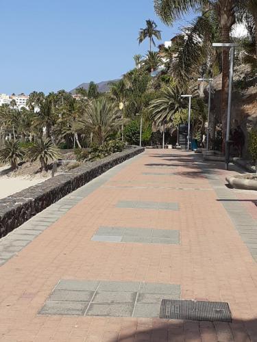 Apartamento Playa Mirar In Palm Garden