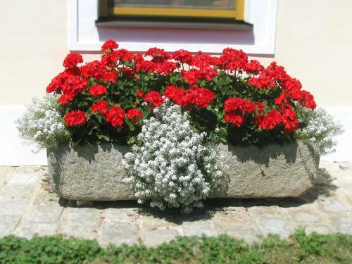 Hostal Bauernhofpension Herzog Zu Laah