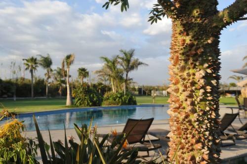 Albergue Hotel Boutique La Reuni�n