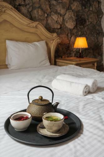 Alpine Castle Hotel