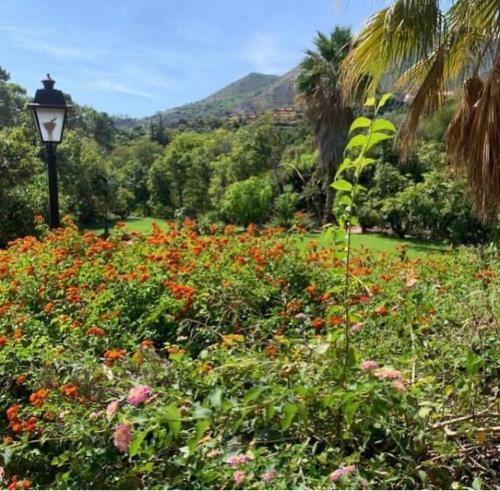 El Capricho De Almadan