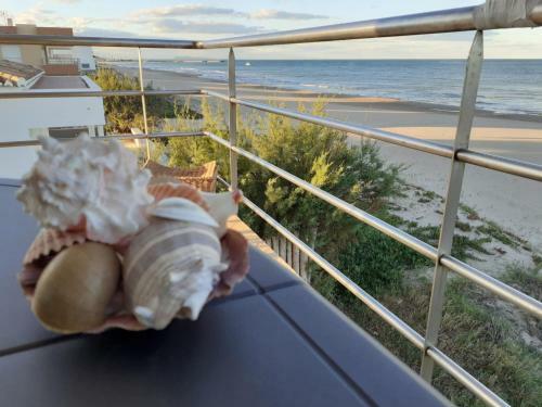Apartamento Ap-3 A Primera L�nea De Playa