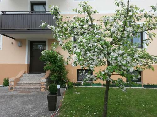 Apartamento Ferienwohnung Kerth