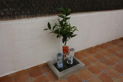 Apartamento Relax Family Home Zenia Bulevard