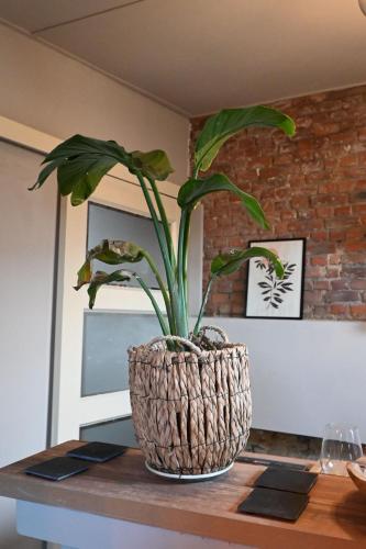 Apartamento Welcome To Antwerp From 80 Introduction Price-4
