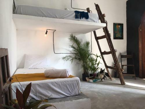 Hostal Casa Eek Balaam