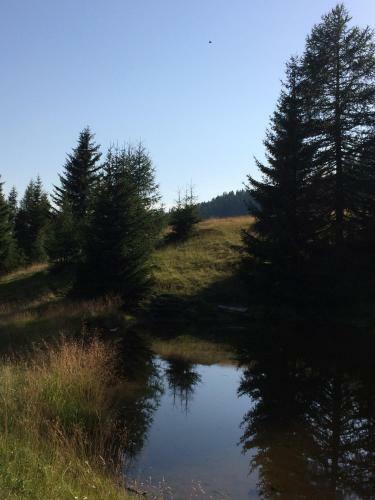 Apartamento Appartement Schusternagele