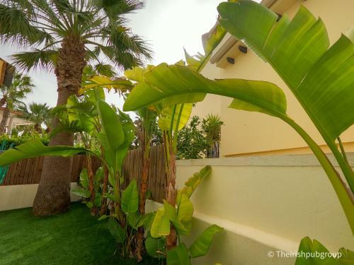 Villa Las Ramblas 207