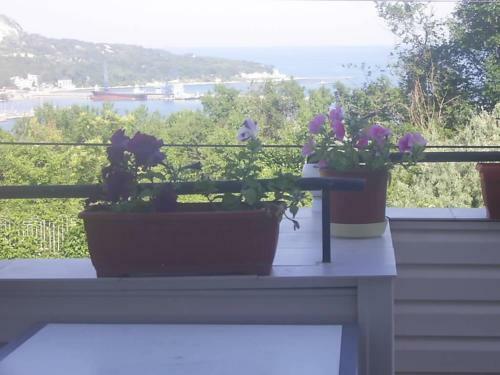 Hostal Guest House Horizont