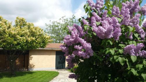 Casa Rural Las Tuyas En Segovia