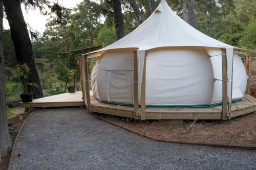 Zen Relax Tent At Paradise Valley Glamping