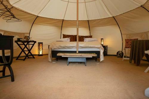Zen Relax Tent At Paradise Valley Glamping