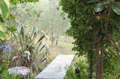 Zen Relax Tent At Paradise Valley Glamping