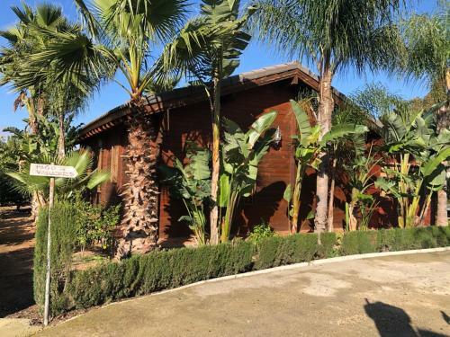 Chalet Con Piscina El Oasis Del Palomar